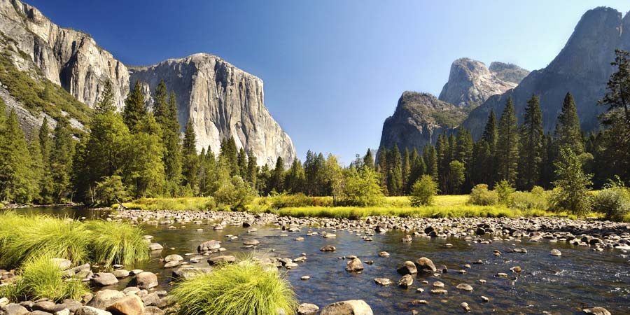 Yosemite National Park