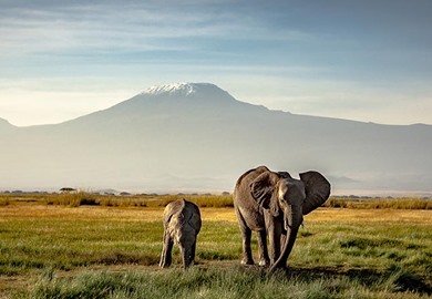 Mt Kilimanjaro